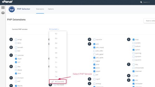 Select PHP version 8.0