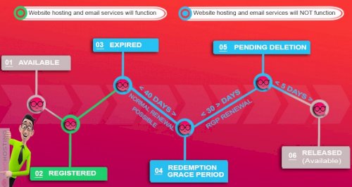 Domain Status